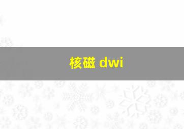 核磁 dwi